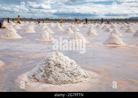 Phetchaburi sale appartamenti Naklua, aziende agricole e agricoltori raccolta di sale a Phetchaburi, Thailandia Foto Stock