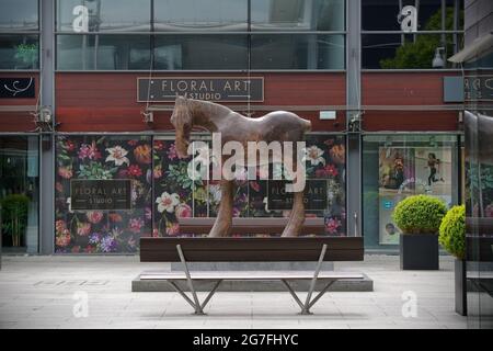 GREYSTONES, IRLANDA - 07 giu 2021: Vista laterale di 'Emer', la statua a forma di cavallo di Anthony Scott situato nel centro commerciale Meridian Point in Foto Stock