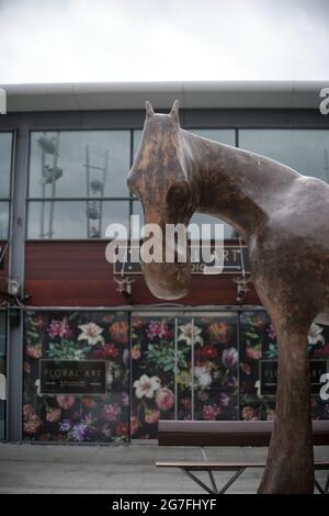 GREYSTONES, IRLANDA - 07 giu 2021: Ritratto di 'Emer', la statua a forma di vita di Antonio Scott, situato nel centro commerciale Meridian Point in Foto Stock