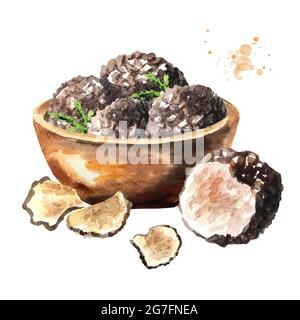 Ciotola con funghi al tartufo nero. Illustrazione di acquerello disegnata a mano, isolata su sfondo bianco Foto Stock