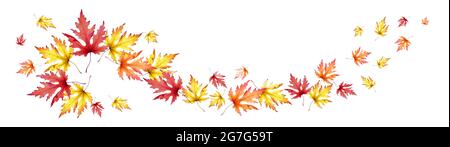 Foglie d'acero d'autunno. Immagine panoramica. Acquerello Foto Stock