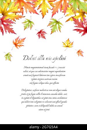 Foglie d'acero d'autunno. Modello. Acquerello Foto Stock