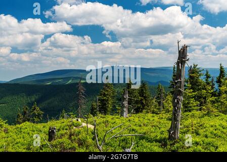 Montagne di Jeseniky con la collina più alta Praded e piste da sci su Cervenohorske sedlo dalla collina di Klinova hora sopra Kouty nad Desnou nella repubblica Ceca Foto Stock