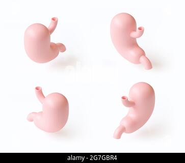 Illustrazione 3d isometrica di un set stilizzato di quattro stomaci umani ad angoli diversi isolati su bianco. Ispirato alle tendenze del design piatto Foto Stock