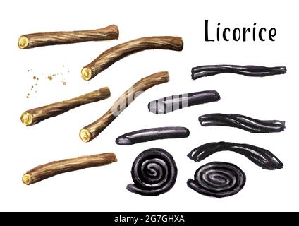 Radici di liquirizia con set di caramelle alla liquirizia. Immagine disegnata a mano con acquerello isolata su sfondo bianco Foto Stock