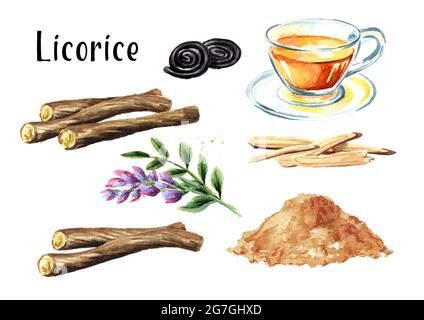 Radice di liquirizia, fiore, tè, set caramelle. Immagine disegnata a mano con acquerello isolata su sfondo bianco Foto Stock
