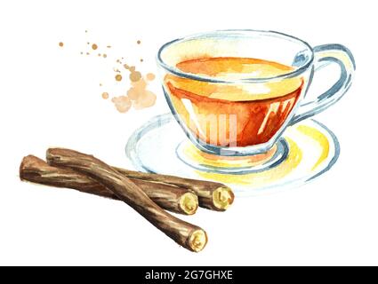 Tè liquirizia e radice, concetto di bevanda sana. Immagine disegnata a mano con acquerello isolata su sfondo bianco Foto Stock