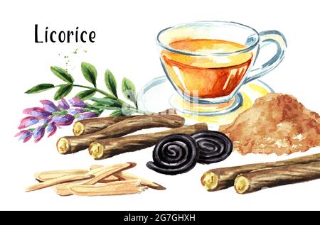 Radice di liquirizia, fiore, tè, composizione di caramelle. Immagine disegnata a mano con acquerello isolata su sfondo bianco Foto Stock