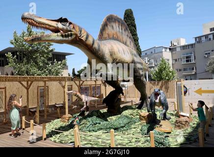 Haifa, città israeliana di Haifa. 13 luglio 2021. La gente visita una mostra di dinosauri a Madatech, il Museo Nazionale Israeliano della Scienza, della tecnologia e dello spazio, nella città israeliana settentrionale di Haifa, il 13 luglio 2021. Credit: Gil Cohen Magen/Xinhua/Alamy Live News Foto Stock