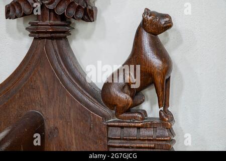 Scolpito pew panca fine dettaglio di seduta felino, Chiesa di St Mary, Dennington, Suffolk, Regno Unito Foto Stock