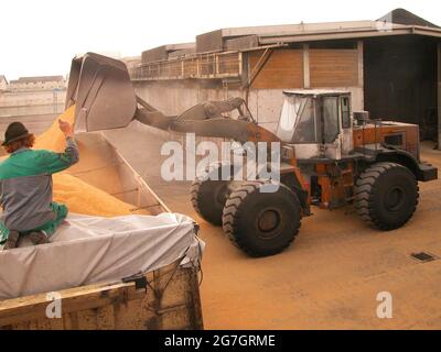 Foraggio con caricatore a pale gommate, Austria Foto Stock