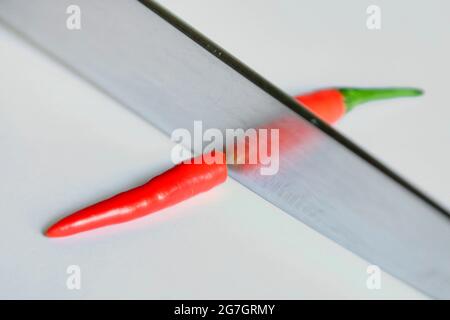 Chili (spec. Capsicum ), tagliando un peperoncino, affilato Foto Stock