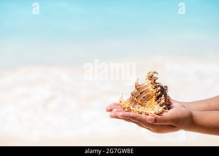 Conchiglia di mare in mano del bambino sulla spiaggia sabbiosa in giornata di sole sullo sfondo blu del mare. Concetto di relax con spazio per la copia Foto Stock