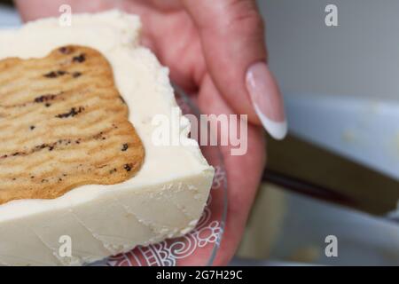 Donna taglia gelato fatto in casa. Biscotti e crema. Primo piano. Foto Stock