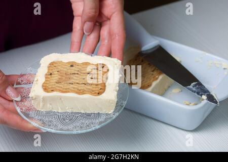 Donna taglia gelato fatto in casa. Biscotti e crema. Primo piano. Foto Stock