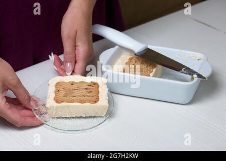 Donna taglia gelato fatto in casa. Biscotti e crema. Primo piano. Foto Stock