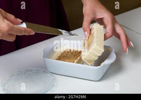 Donna taglia gelato fatto in casa. Biscotti e crema. Primo piano. Foto Stock