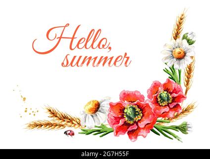 Cornice, bouquet di papaveri, camomili e orecchie di grano. Illustrazione di acquerello disegnata a mano, isolata su sfondo bianco Foto Stock