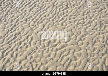 Forme nella sabbia esposte a bassa marea che sono state formate dal movimento dell'acqua sulle barre di sabbia. West Meadow Beach, Stony Brook, New York Foto Stock