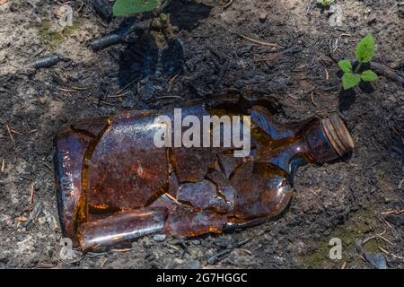 Bottiglia vecchia trovata nella cenere dal fuoco di montagna di Tavola 2012, montagna di Tavola, Okanogan-Wenatchee National Forest, Stato di Washington, Stati Uniti Foto Stock