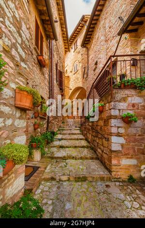 Spello affascinante viale del centro storico in Umbria Foto Stock