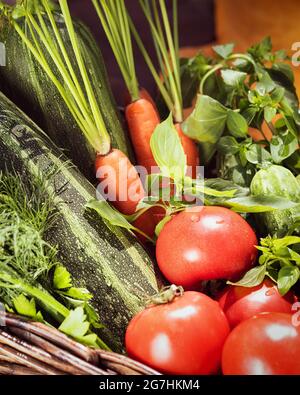 Focus selezionato, verticale, composizione vegana con verdure locali, da fattoria in un cestino: Pomodori, cetrioli, zucchine, carote, prezzemolo, aneto e basilico. Foto Stock