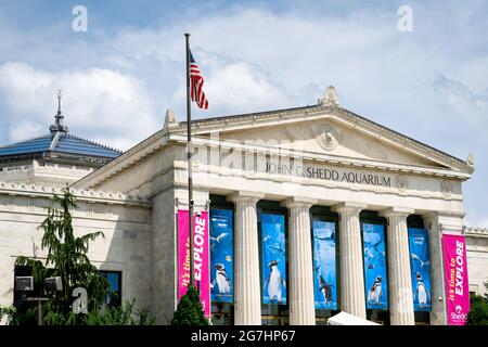 Lo Shedd Aquarium Chicago con bandiera americana Foto Stock