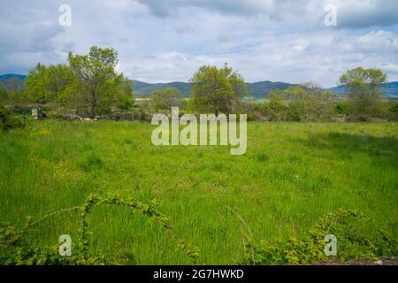 Paesaggio primaverile. Pinilla de Buitrago, provincia di Madrid, Spagna. Foto Stock