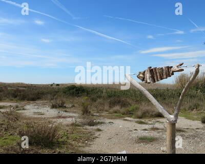 Scultura di pesce in legno nel Delta di Llobregat Foto Stock