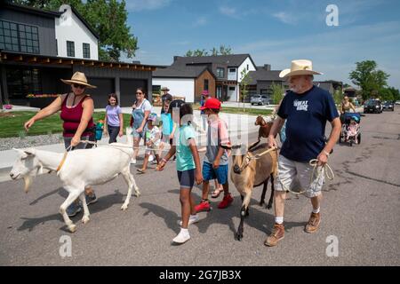 Wheat Ridge, Colorado - accompagnati da bambini e adulti ammiranti, le capre da 5 frigoriferi Farm sfilano al Lewis Meadows Park dove saranno ammessi Foto Stock
