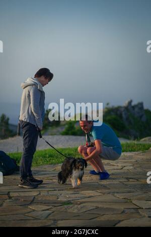 In attesa di luglio mattina con un cucciolo su una vetta di montagna Foto Stock