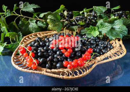 Ribes rosso in un cestino sul tavolo. Prodotti alimentari su sfondo nero Foto Stock