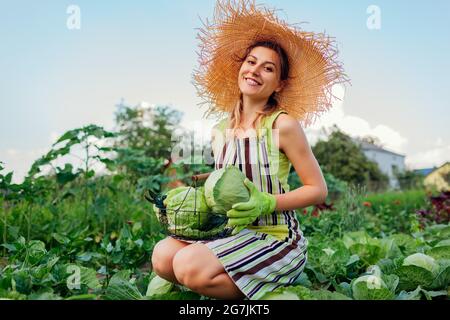 Giovane donna felice giardiniere raccolta cavolo in giardino estivo mettendo raccolto vegetale nel cesto. Raccolto di verdure biologiche. Cibo sano Foto Stock