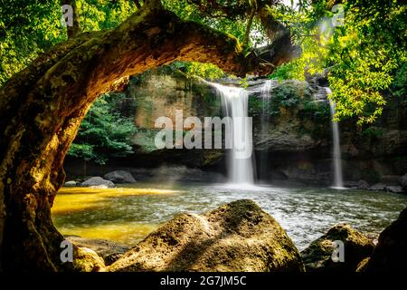 Cascata di Haew Suwat nel Parco Nazionale di Khao Yai a Nakhon Ratchasima, Thailandia, sud Est asiatico Foto Stock