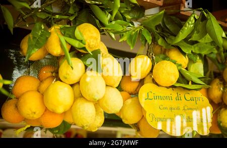 I limoni con il testo "limoni dall'isola di Capri. Da questi limoni prepariamo i nostri dessert congelato' scritta su un segno Foto Stock