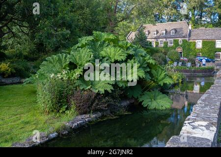 Foto di Bibury Village nel periodo estivo, una volta descritto dal famoso designer William Morris come il villaggio più bello in tutta l'Inghilterra Foto Stock