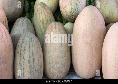 Primo piano di meloni in vendita sul mercato Foto Stock