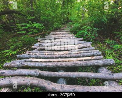 Il ponte di legno tronchi. Ponte dritto. Semplice struttura di alberi attraverso il fiume. Foto Stock