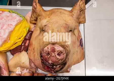 Testa e gambe di un maiale al banco di un macellaio in un mercato agricolo, primo piano carcassa di maiale macellato. Foto Stock