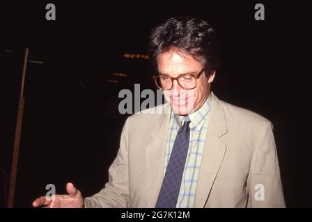 Warren Beatty Circa 1980's Credit: Ralph Dominguez/MediaPunch Foto Stock