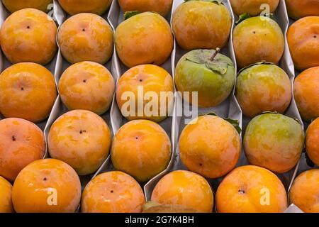 Il persimmon fresco, un vassoio di persimmons succosi maturi da vicino al mercato contadino Foto Stock