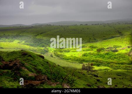 Paesaggio a sud di Oman, Salalah. Medio Oriente Foto Stock