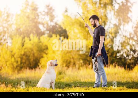 Concept man che addestrano gli animali dell'handler del cane sul parco giochi. Happy Purebred labrador Retriever sedersi in parco nella soleggiata giornata estiva. Foto Stock