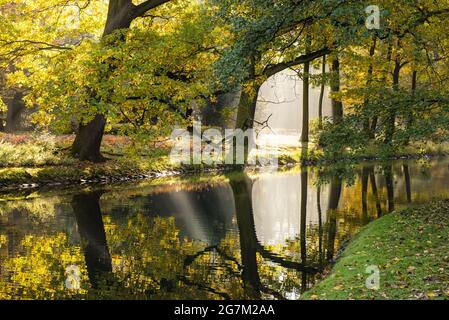 stagione autunnale d'oro, bellissimo parco in una mattina soleggiata in autunno, alberi gialli d'autunno illuminati al sole in un parco, foto orizzontale Foto Stock