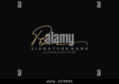 PO Letter Signature Logo Template elegante logo firmato modello simbolo icona vettoriale Illustrazione Vettoriale