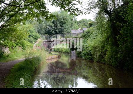 Passeggiata suggestiva di mattina presto lungo il sentiero del Brecon e Monmouthshire Canal Powys Wales UK Foto Stock