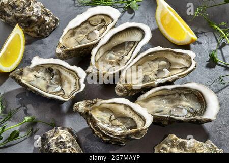 Ostriche fresche crude in conchiglie a metà con limone Foto Stock
