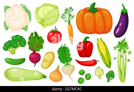 Verdure cartoon. Carote, mais, pepe, sedano, cavolfiore, broccoli, barbabietola, cipolla, cetriolo. Fresco biologico vegetale insieme vettoriale Fattoria verdure biologiche per il mercato isolato su bianco Illustrazione Vettoriale
