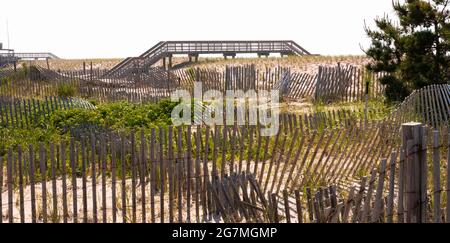 Passerelle in legno per raggiungere in sicurezza dune di sabbia e recinzioni da picnic con spazzola verde che protegge Fire Island Long Island New York. Foto Stock