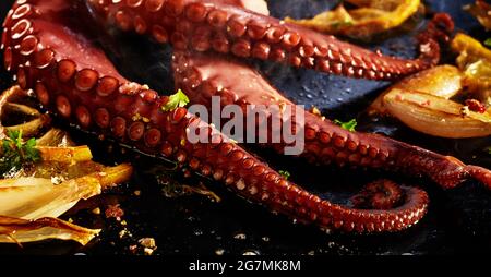 Primo piano su una porzione di polpo intero alla griglia o tentacoli calamari serviti con cipolla tostata , scorza di limone, erbe e spezie in un banner panoramico Foto Stock